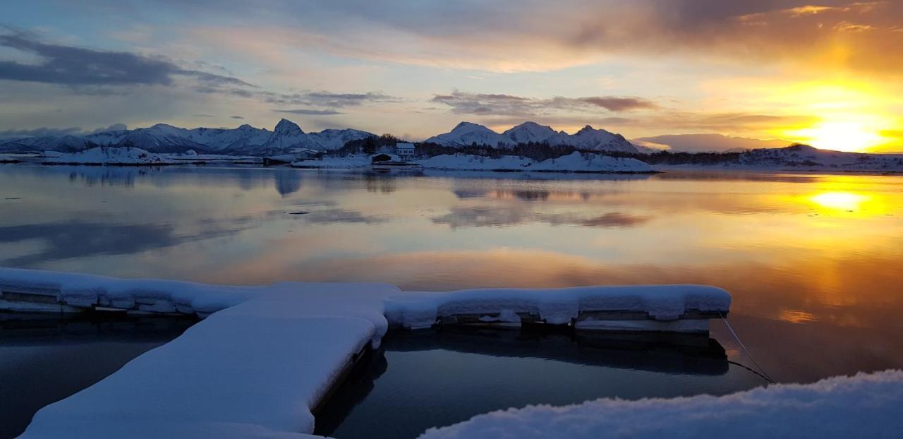 Ringstad Resort Bo (Nordland) Exterior photo